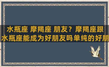 水瓶座 摩羯座 朋友？摩羯座跟水瓶座能成为好朋友吗单纯的好朋友